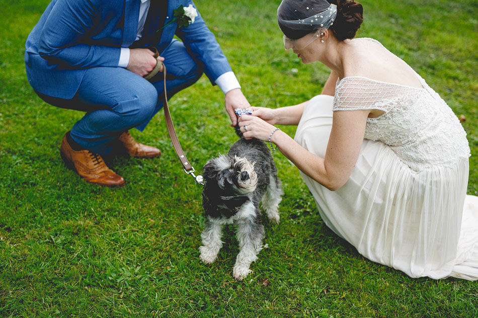 Bride groom and dog