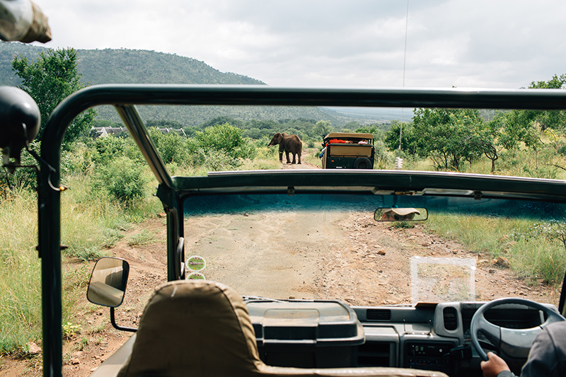 SOUTH_AFRICA_TRAVEL_PHOTOGRAPHY_08