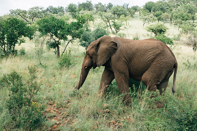 SOUTH_AFRICA_TRAVEL_PHOTOGRAPHY_09