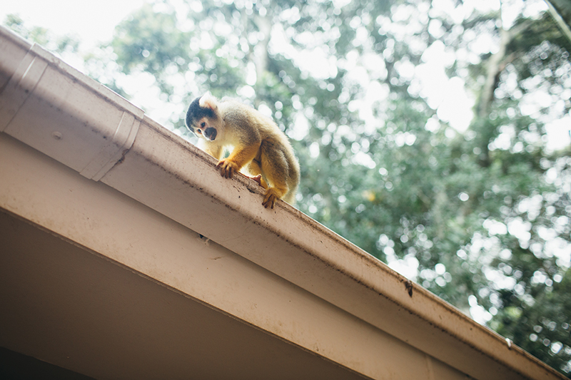 SOUTH_AFRICA_TRAVEL_PHOTOGRAPHY_44