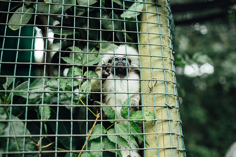 SOUTH_AFRICA_TRAVEL_PHOTOGRAPHY_45