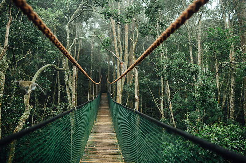 SOUTH_AFRICA_TRAVEL_PHOTOGRAPHY_46